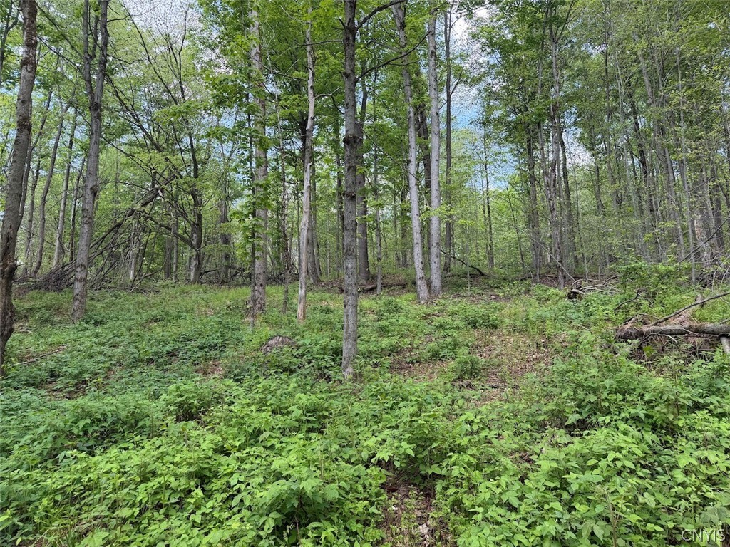 Dye Road South Dayton, NY 14138 - Photo 25 of 27