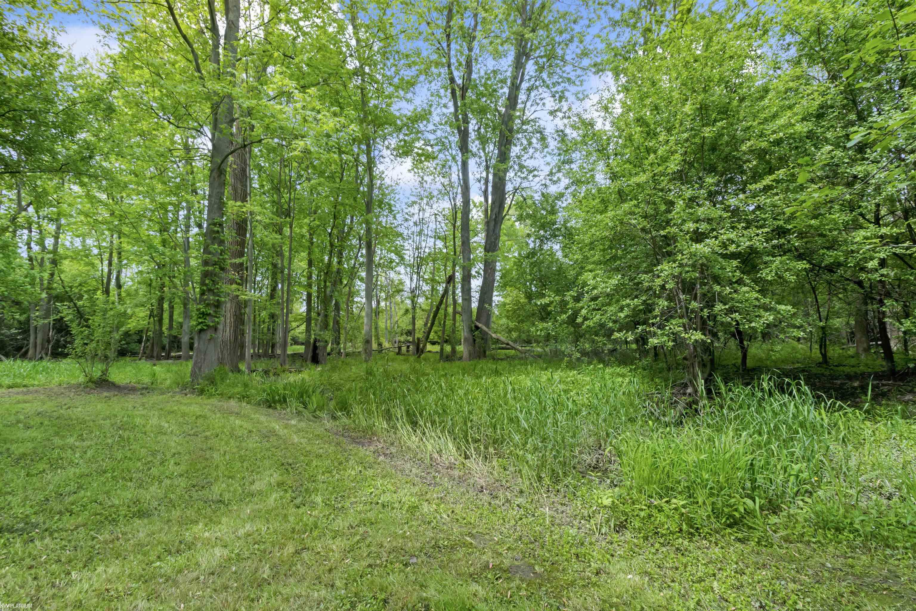 0 Jorden Road Yale, MI 48097 - Photo 16 of 17 Gallery Image 16
