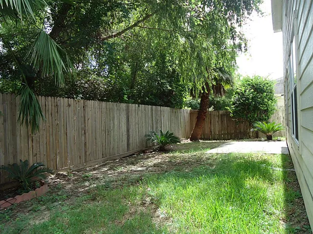 a view of a backyard with large trees and wooden fence