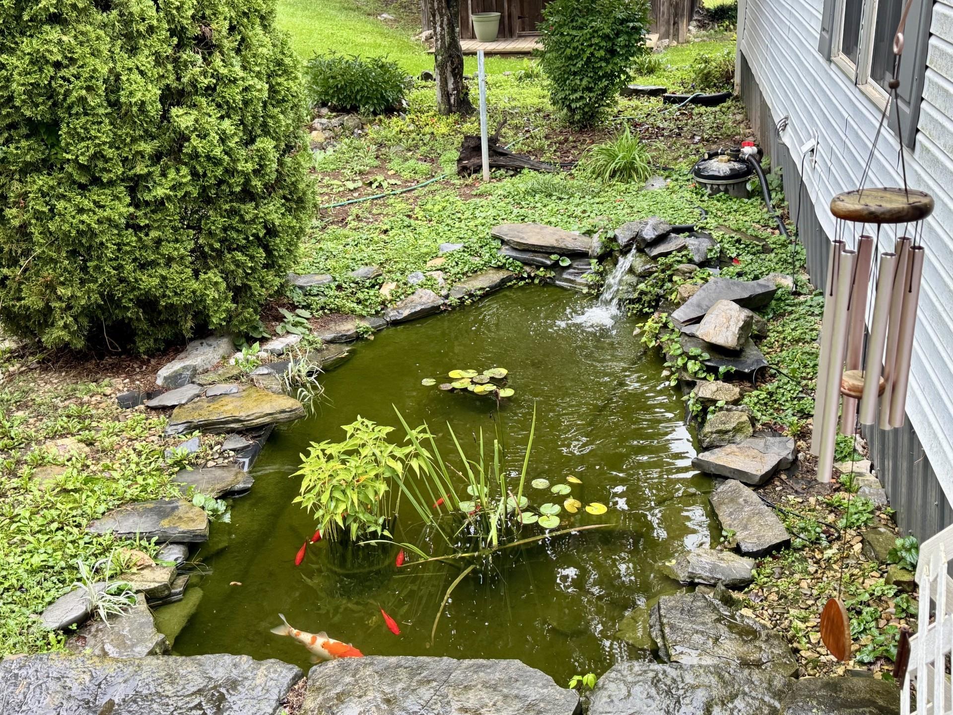 5904 Spring Hill Road Bridgewater, VA 22812 - Photo 6 of 39 Koi Pond