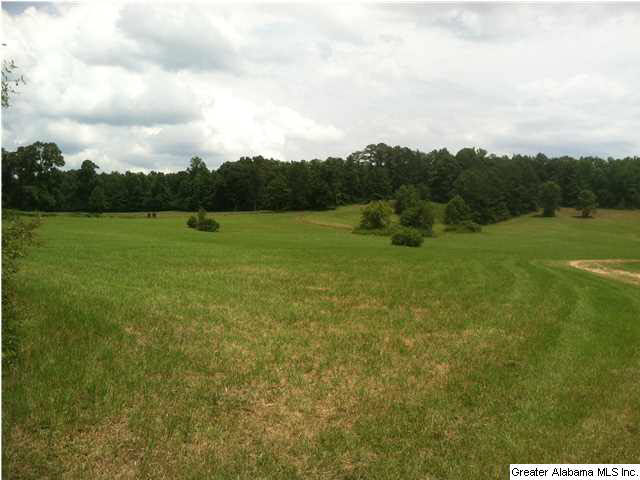 Browning Road, Unit 78 Odenville, AL 35120 - Photo 8 of 18