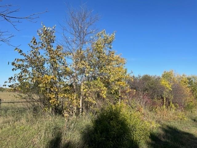 Lot 3 Wirth Monticello, WI 53570 - Photo 4 of 12