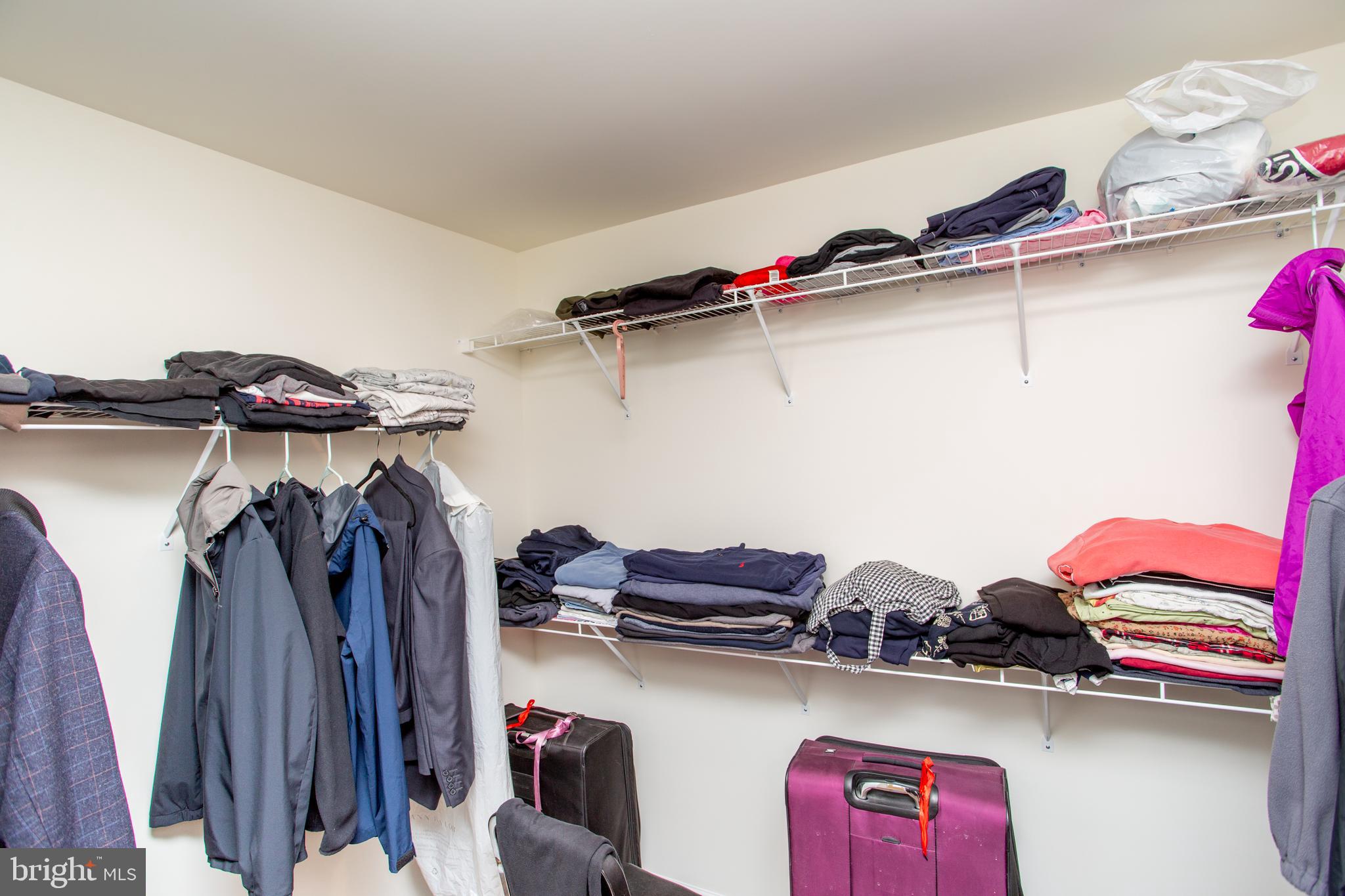 44 Parry Way Warminster, PA 18974 - Photo 14 of 36 Primary Closet