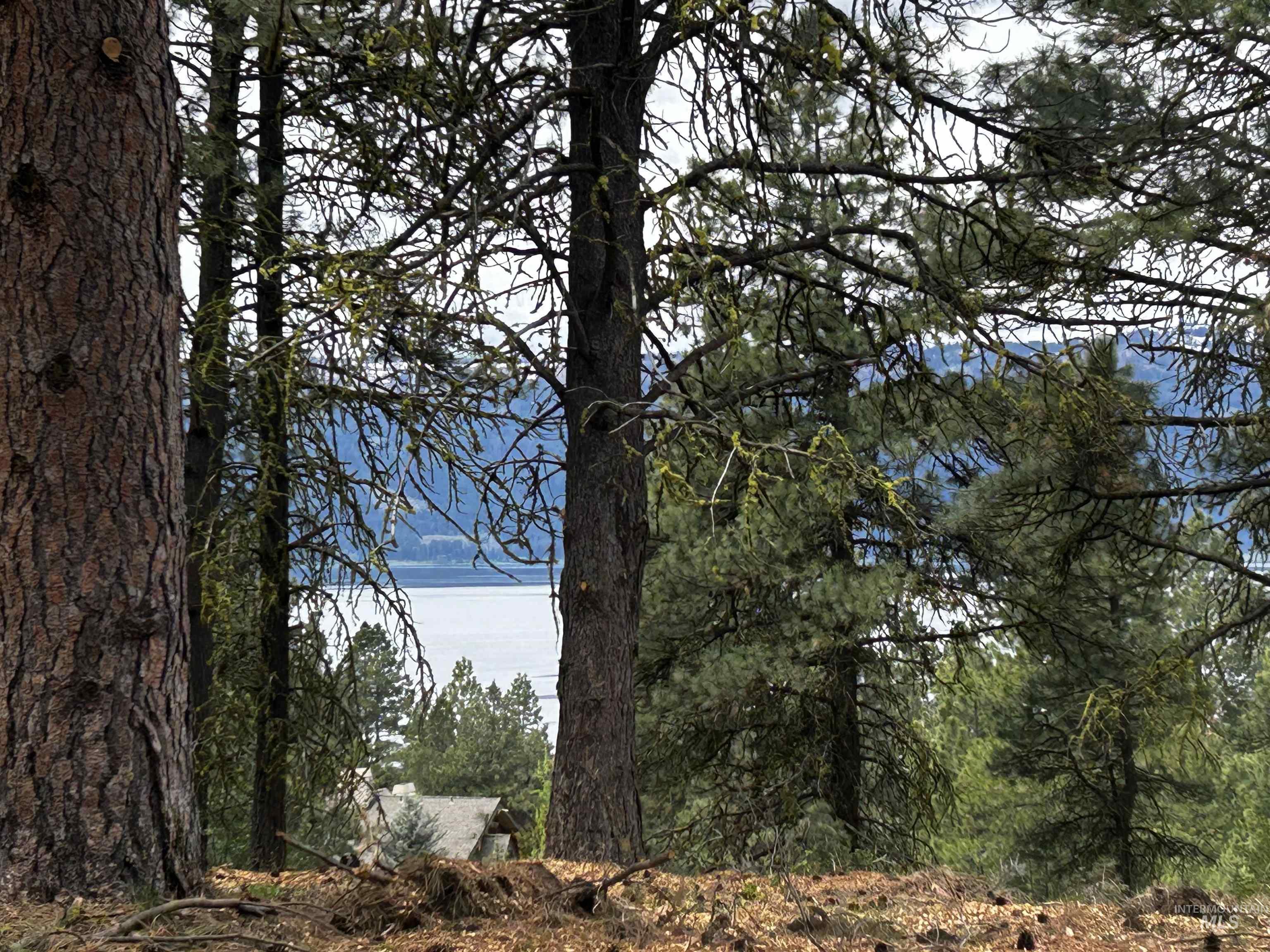 1483 Pine Lakes Ranch Drive Cascade, ID 83611 - Photo 2 of 20
