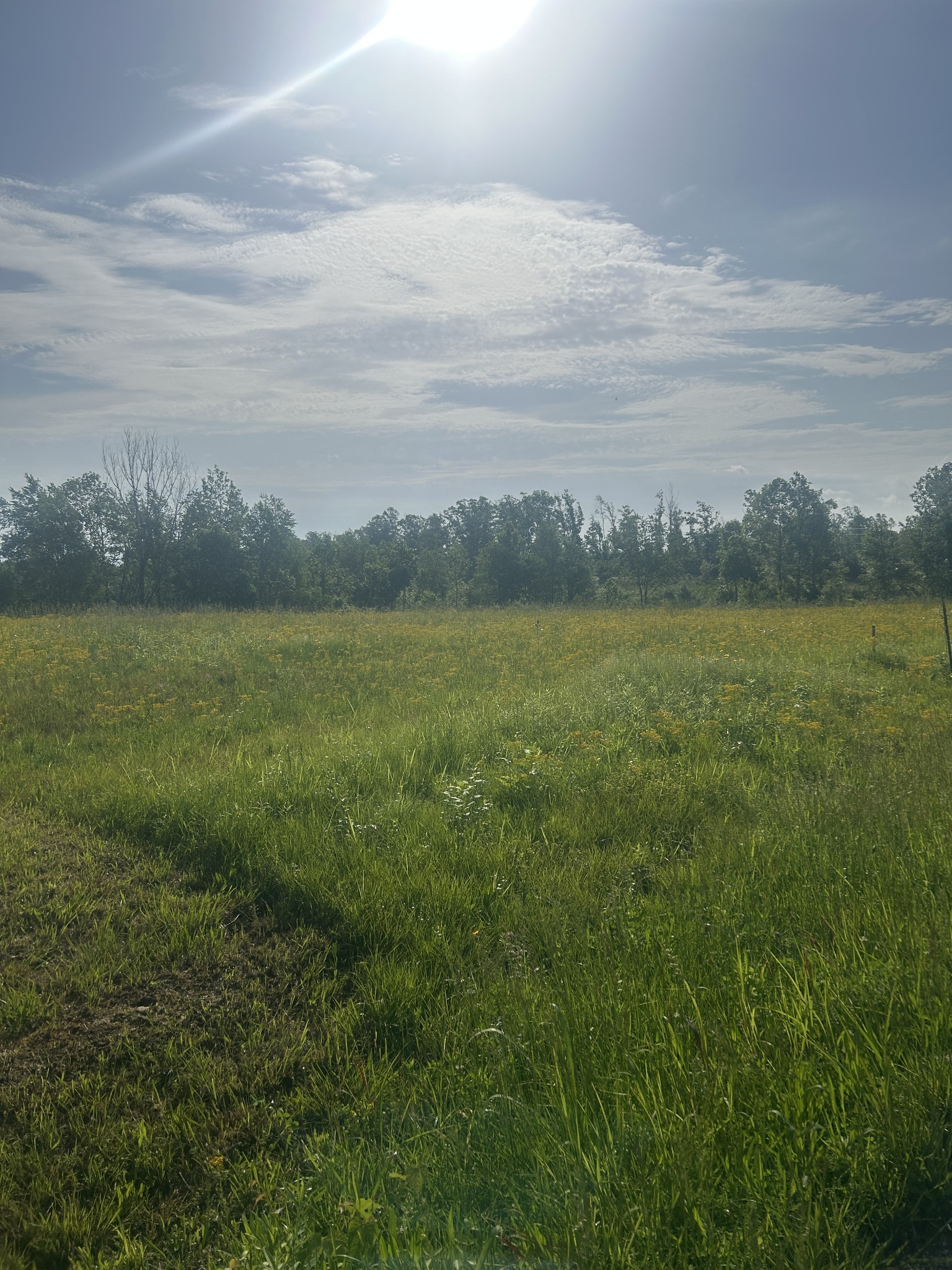 2047 Buffalo Road Hohenwald, TN 38462 - Photo 18 of 25 a view of an ocean and mountain