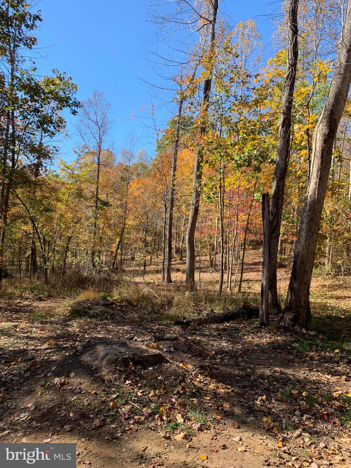 51-11a Castleton View Road Castleton, VA 22716 - Photo 2 of 4