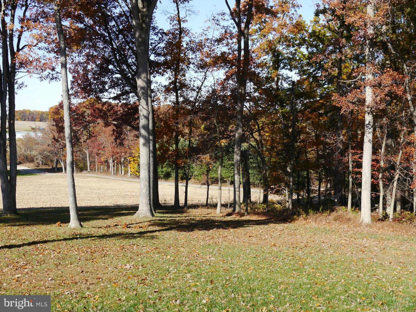 5426 Rocks Road Pylesville, MD 21132 - Photo 5 of 25 Exterior (Rear)