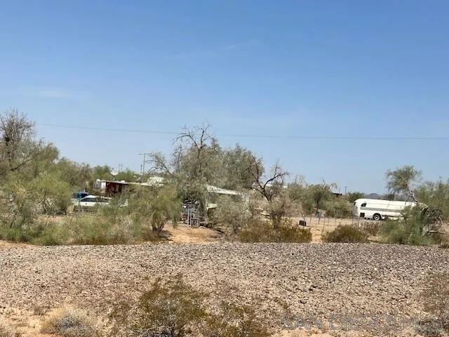 894 North Sidewinder Winterhaven, CA 92283 - Photo 2 of 6 a view of a dry yard with trees