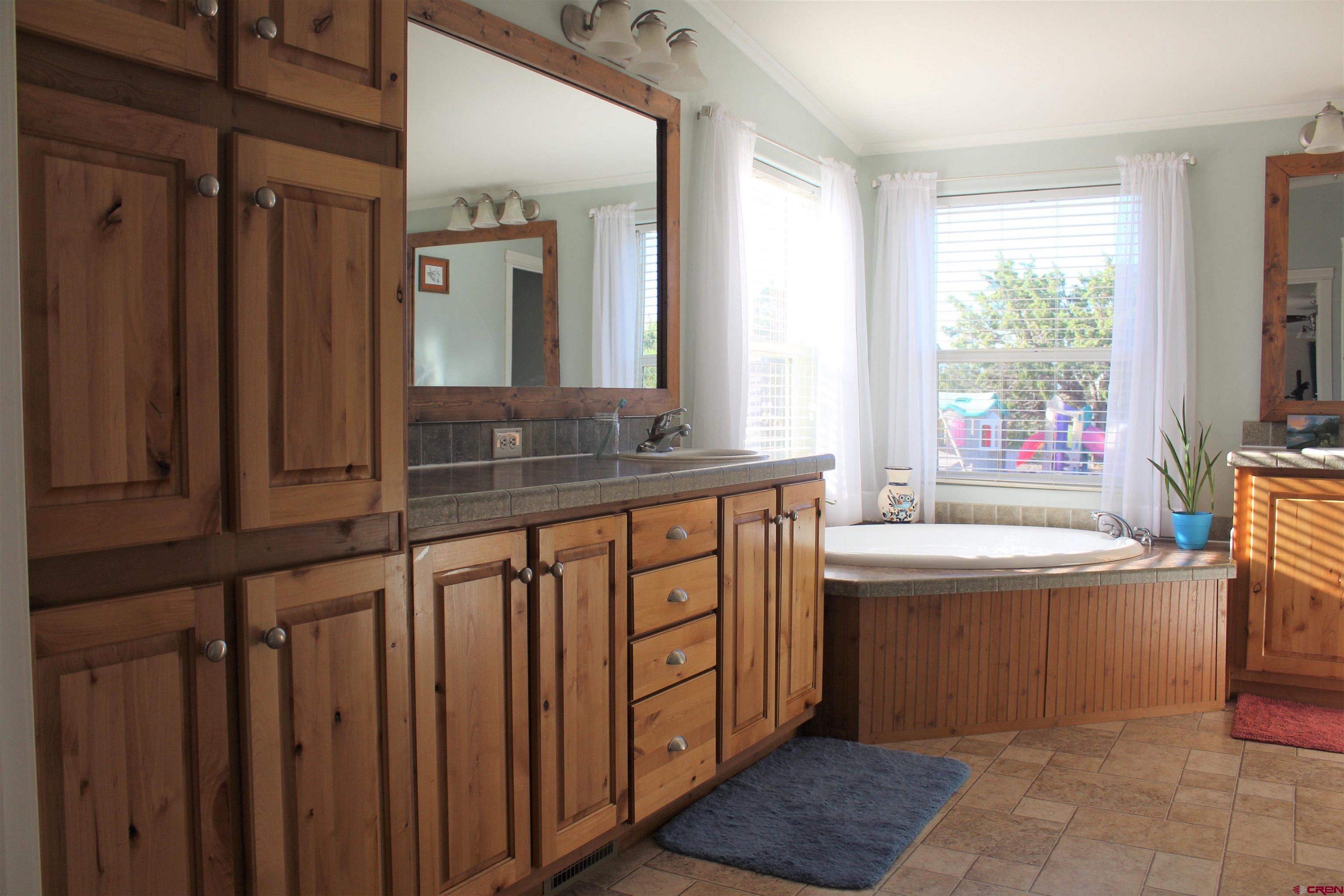 16875 Ember Road Cedaredge, CO 81413 - Photo 18 of 31 a bathroom with a sink double vanity and a mirror
