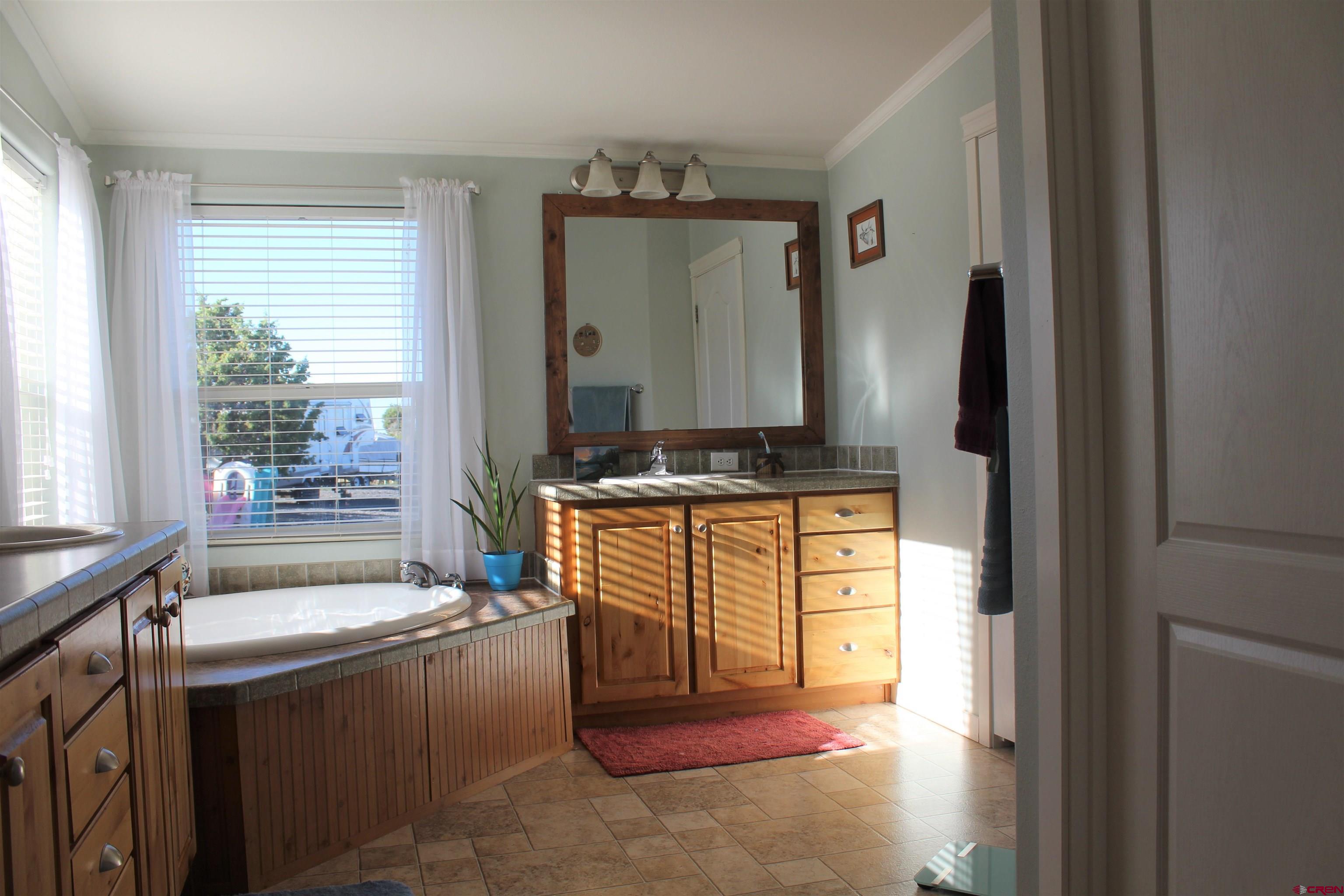 16875 Ember Road Cedaredge, CO 81413 - Photo 19 of 31 a bathroom with a granite countertop sink and a mirror