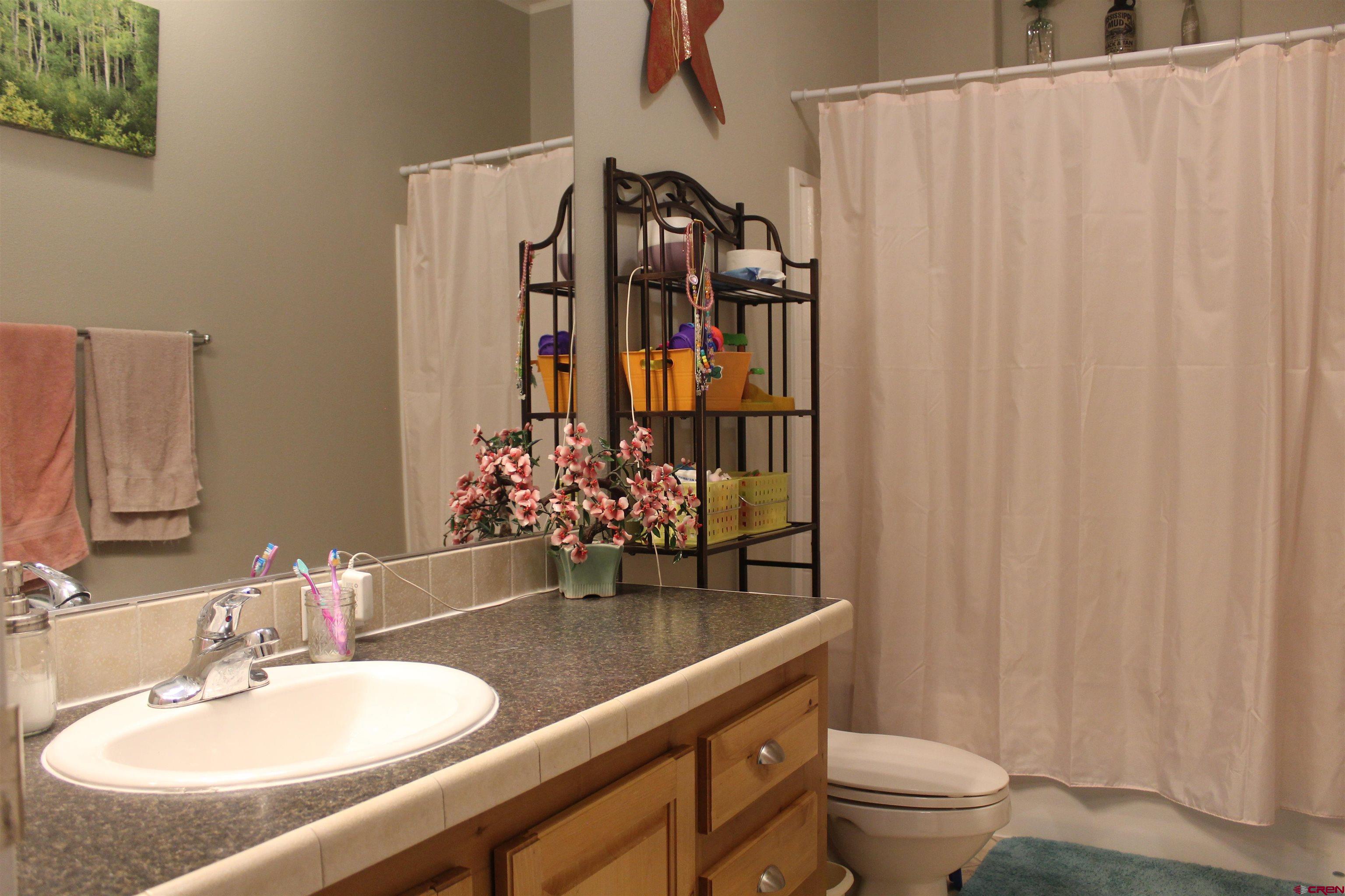 16875 Ember Road Cedaredge, CO 81413 - Photo 22 of 31 a bathroom with a sink and a mirror