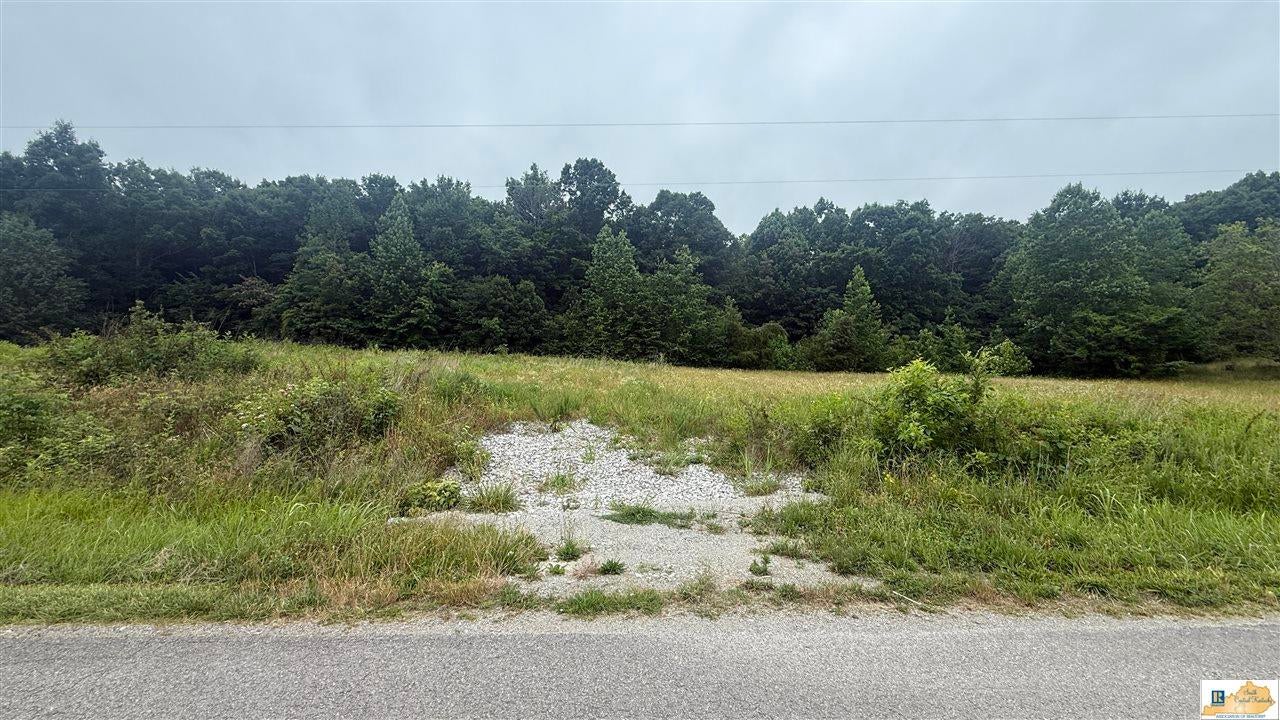 705 Goodluck Beaumont Road Edmonton, KY 42129 - Photo 9 of 33 Gallery Image 9