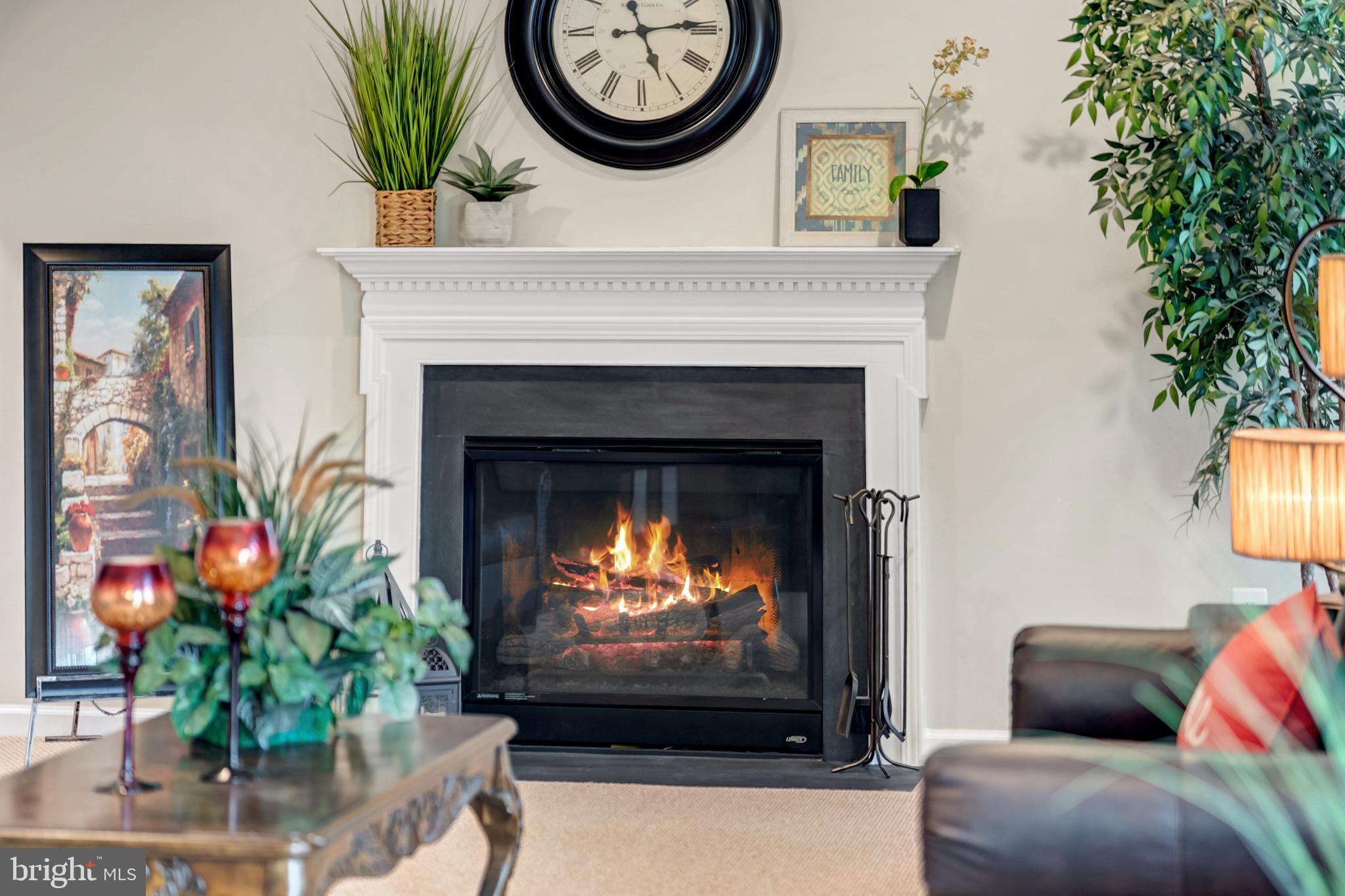 7137 Shepherdstown Road Warrenton, VA 20187 - Photo 13 of 60 Gas burning fireplace