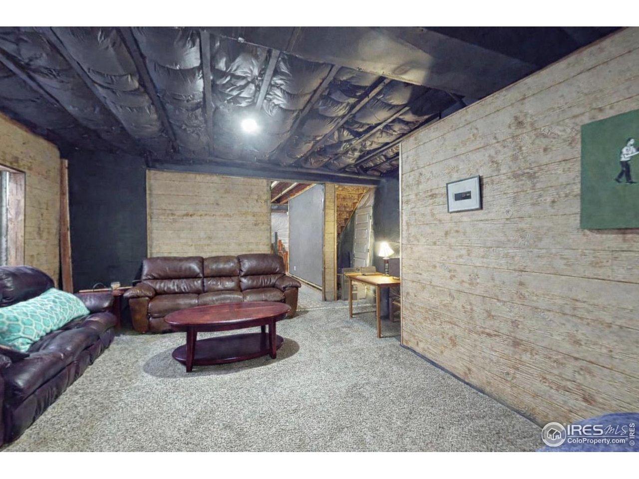 5543 Calgary Street Timnath, CO 80547 - Photo 36 of 48 Basement (Photo Taken in 2022)