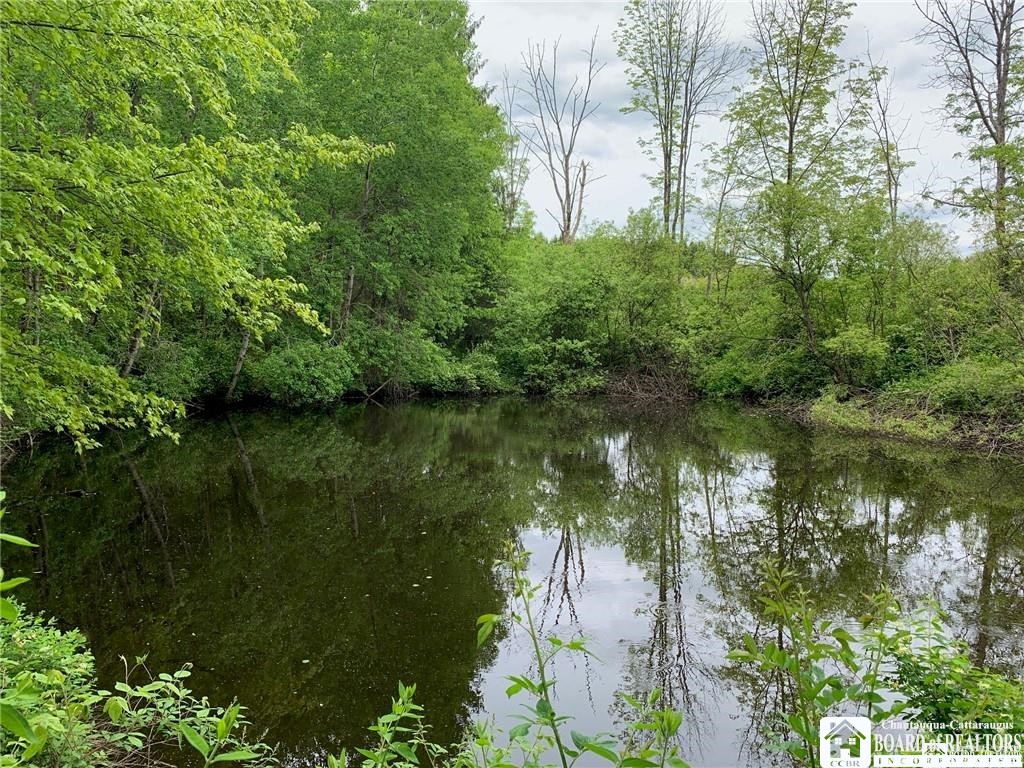 905 Waterman Road Kennedy, NY 14747 - Photo 16 of 35