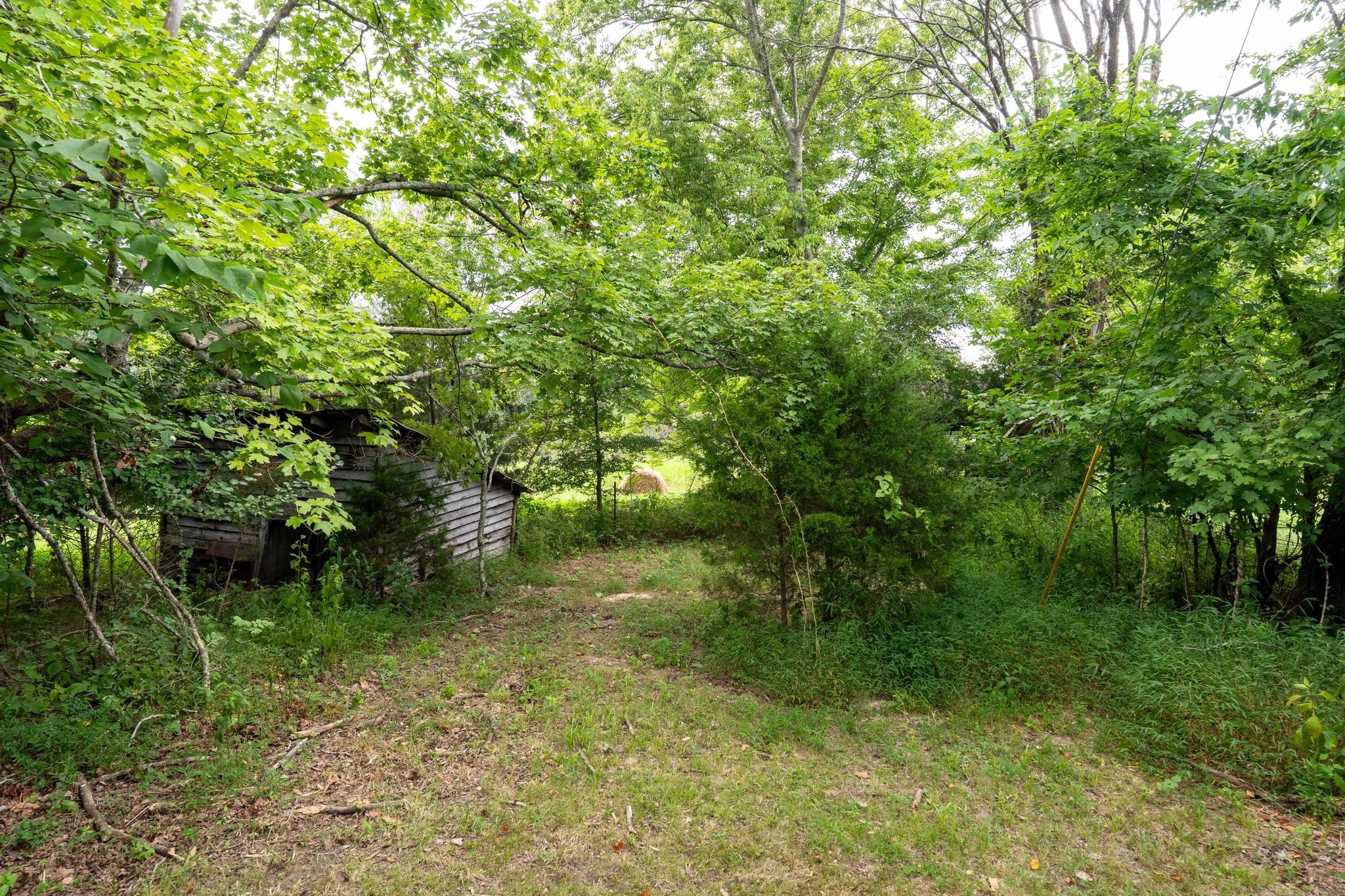 2882 Mobley Ridge Road Duck River, TN 38454 - Photo 17 of 70