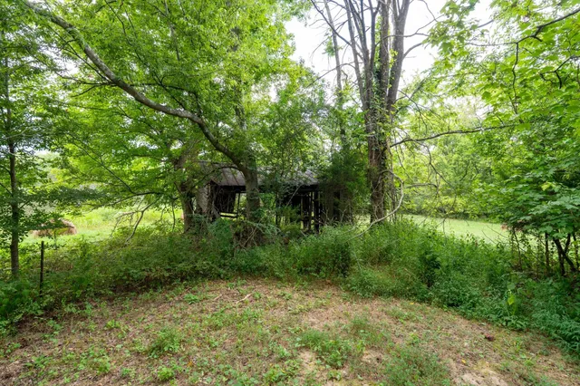 a backyard of a house with plants and tree