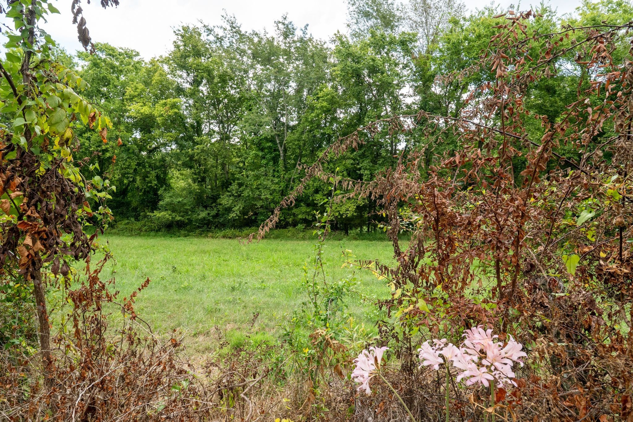 2882 Mobley Ridge Road Duck River, TN 38454 - Photo 19 of 70