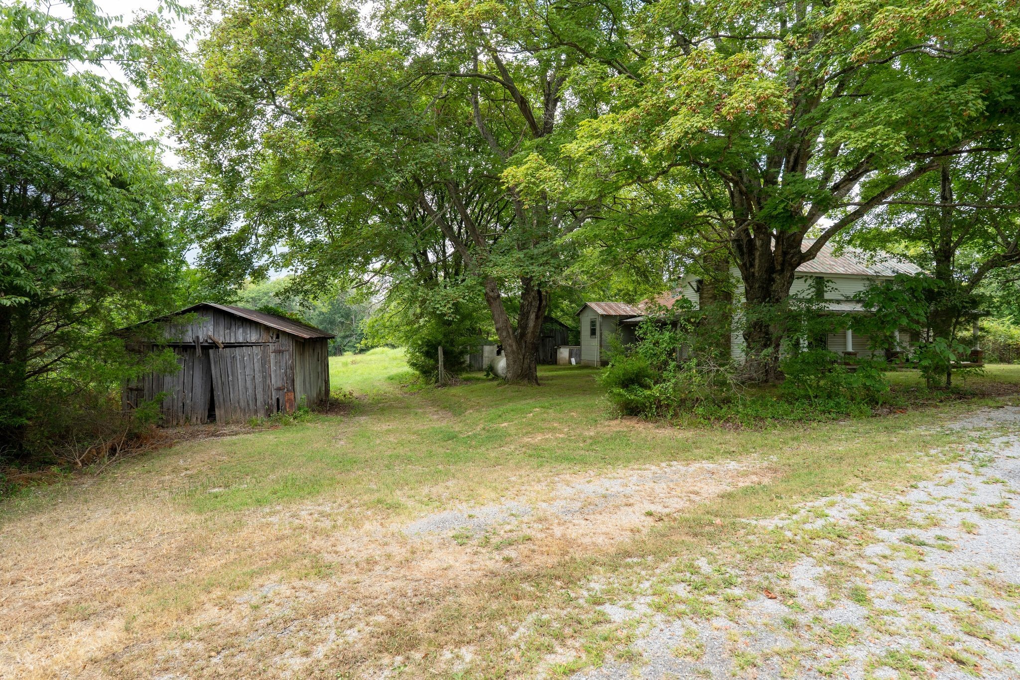 2882 Mobley Ridge Road Duck River, TN 38454 - Photo 20 of 70 a view of backyard of house with green space