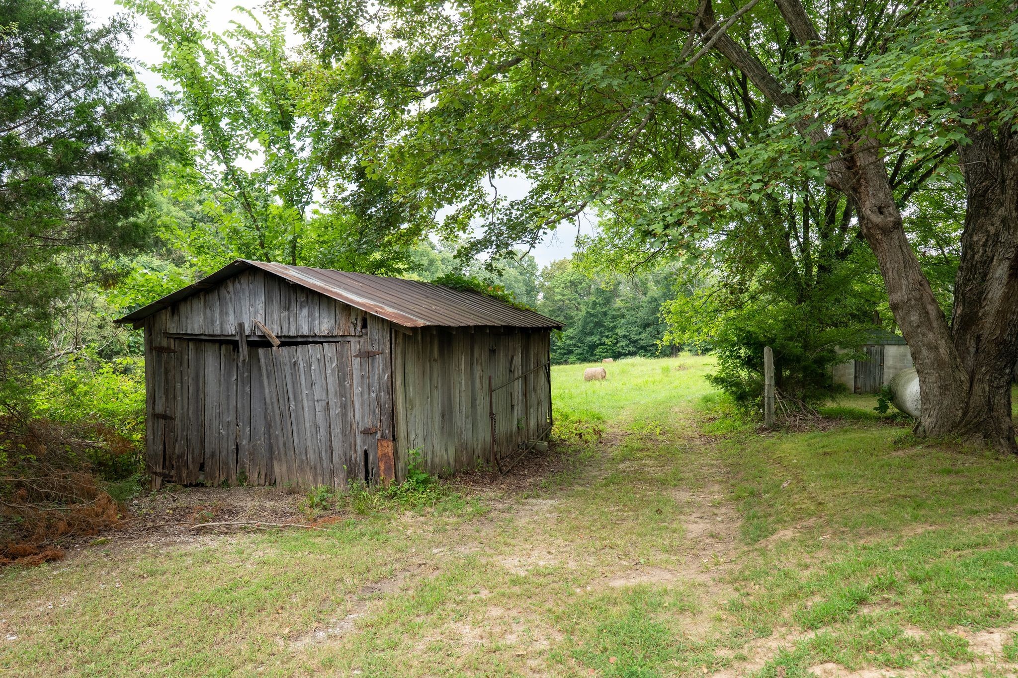 2882 Mobley Ridge Road Duck River, TN 38454 - Photo 21 of 70 a backyard of a house with plants and tree