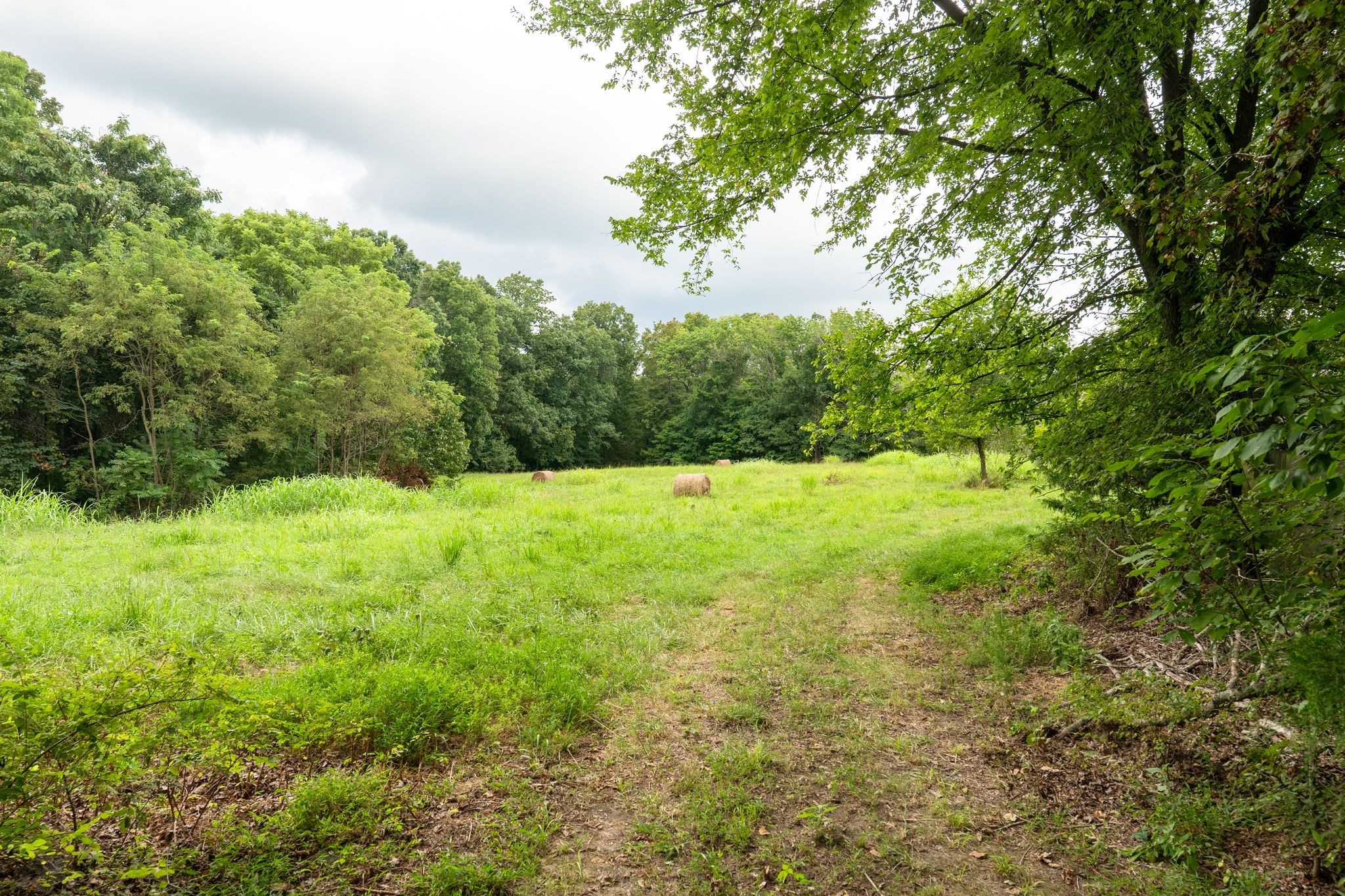 2882 Mobley Ridge Road Duck River, TN 38454 - Photo 23 of 70