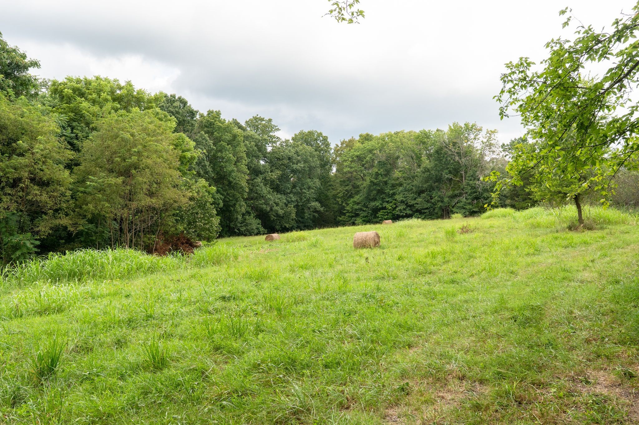 2882 Mobley Ridge Road Duck River, TN 38454 - Photo 24 of 70 a backyard of a house with lots of green space