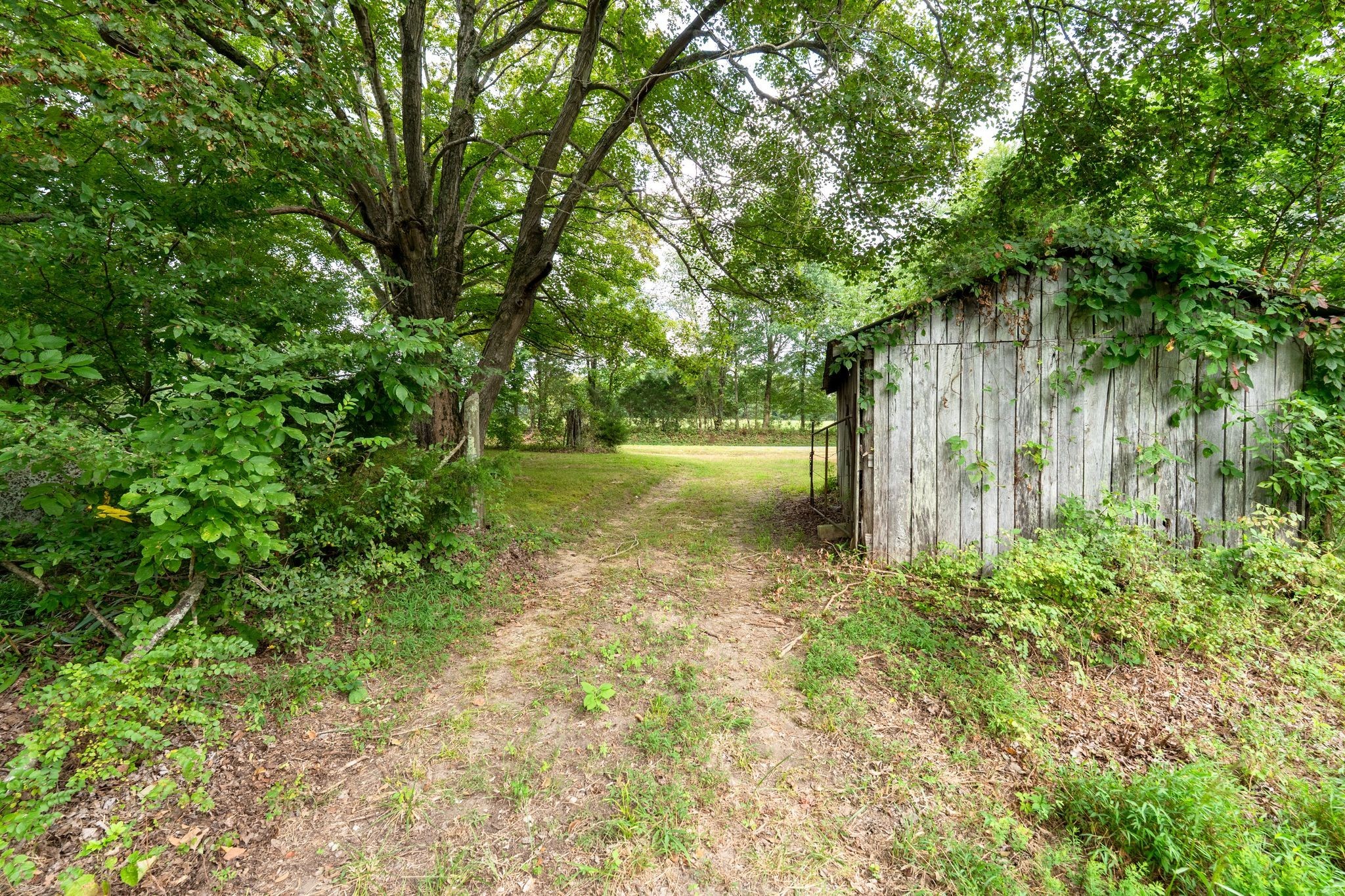 2882 Mobley Ridge Road Duck River, TN 38454 - Photo 25 of 70 a view of backyard with green space