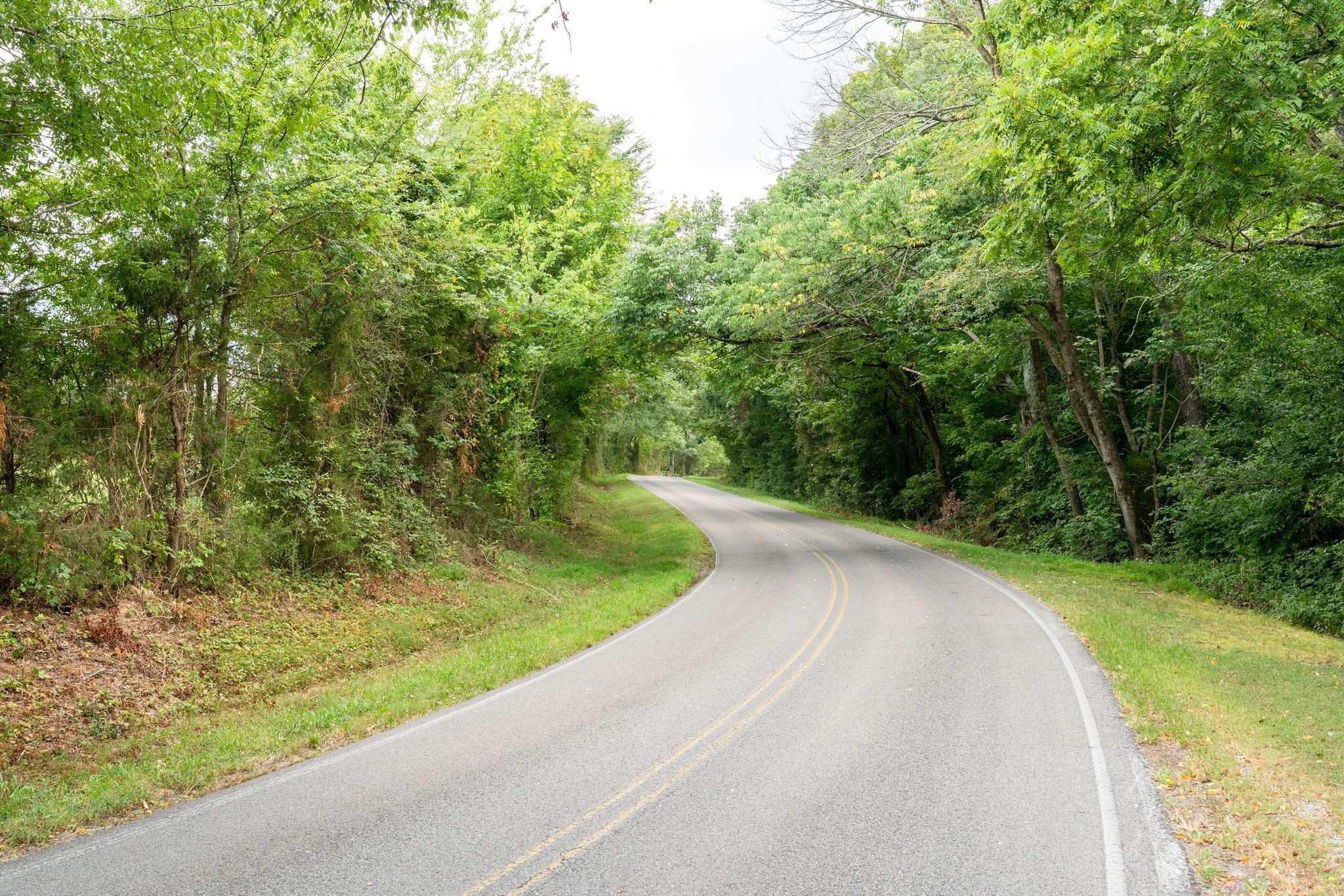 2882 Mobley Ridge Road Duck River, TN 38454 - Photo 26 of 70
