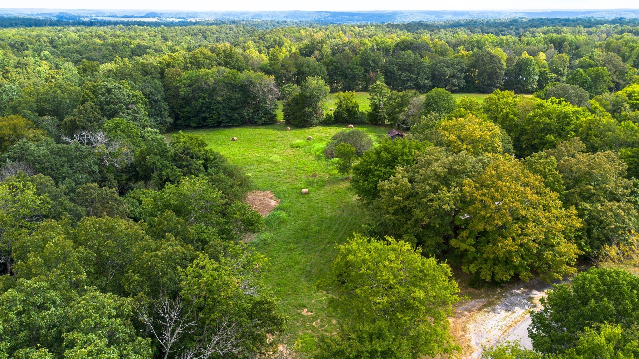 2882 Mobley Ridge Road Duck River, TN 38454 - Photo 34 of 70 a view of a lush green forest with trees and some houses