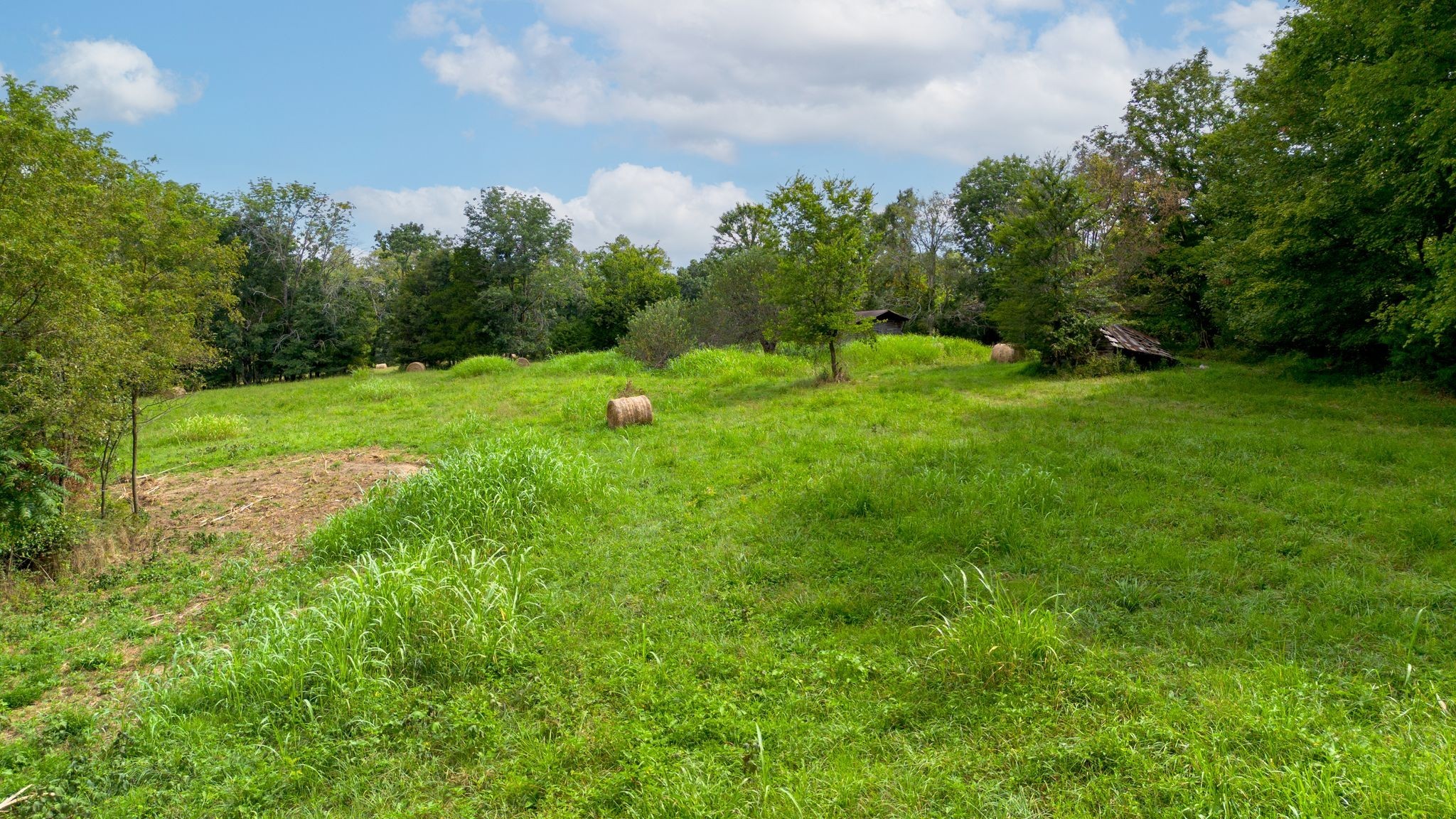 2882 Mobley Ridge Road Duck River, TN 38454 - Photo 36 of 70 a view of a garden with an outdoor space