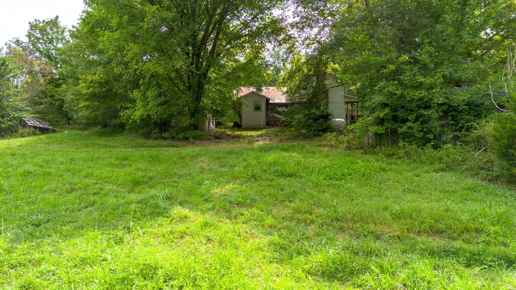2882 Mobley Ridge Road Duck River, TN 38454 - Photo 37 of 70 a backyard of a house with a lots of plants and large tree