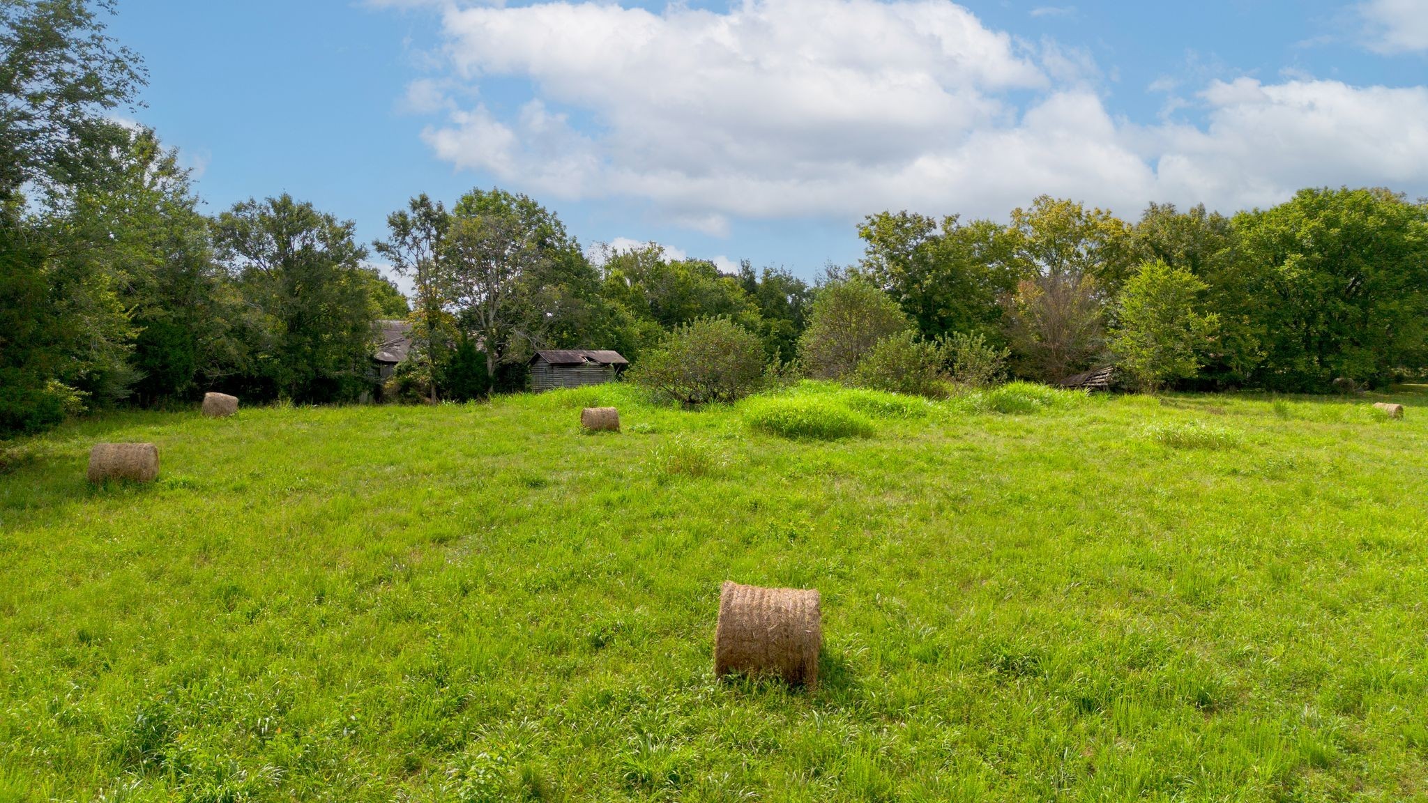 2882 Mobley Ridge Road Duck River, TN 38454 - Photo 39 of 70 a fire hydrant in the middle of a field