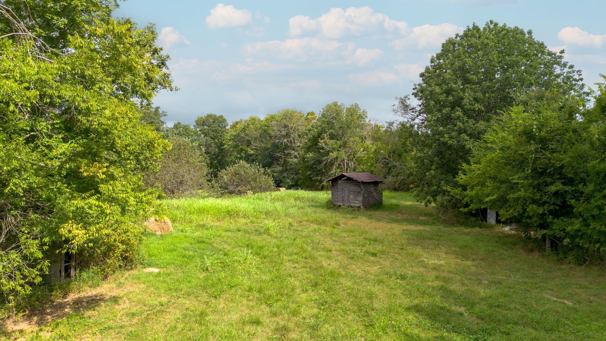 2882 Mobley Ridge Road Duck River, TN 38454 - Photo 42 of 70 a view of a garden with plants and large trees