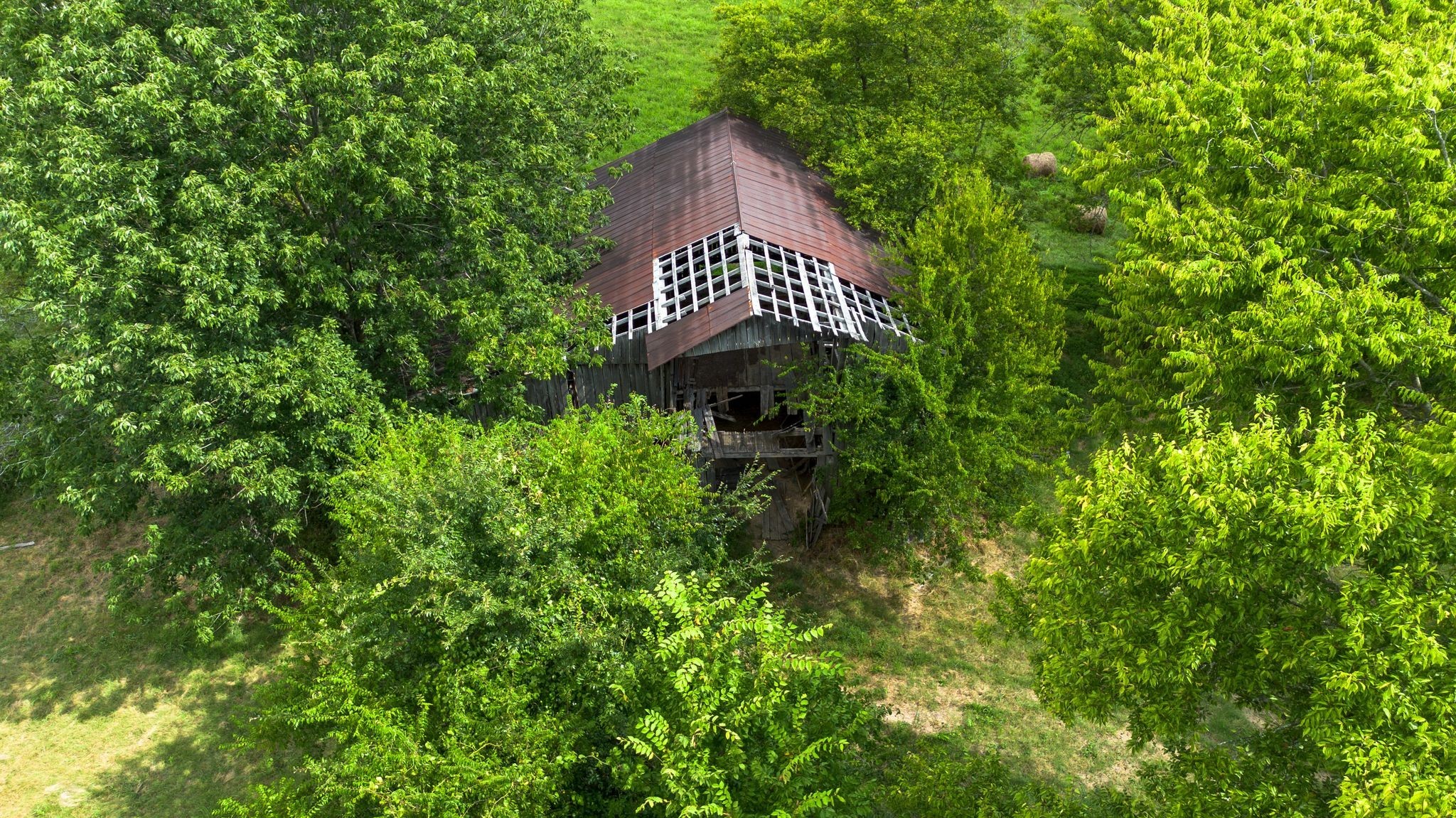 2882 Mobley Ridge Road Duck River, TN 38454 - Photo 45 of 70