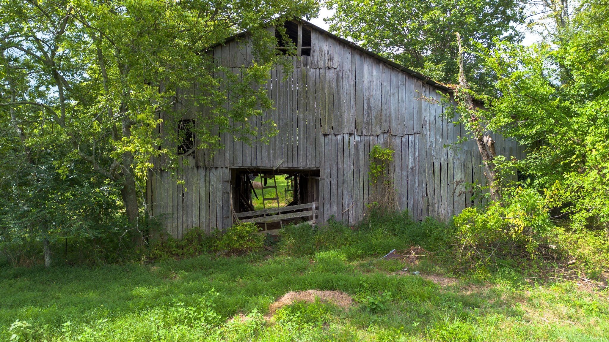 2882 Mobley Ridge Road Duck River, TN 38454 - Photo 46 of 70 a view of a backyard with plants and a wooden fence