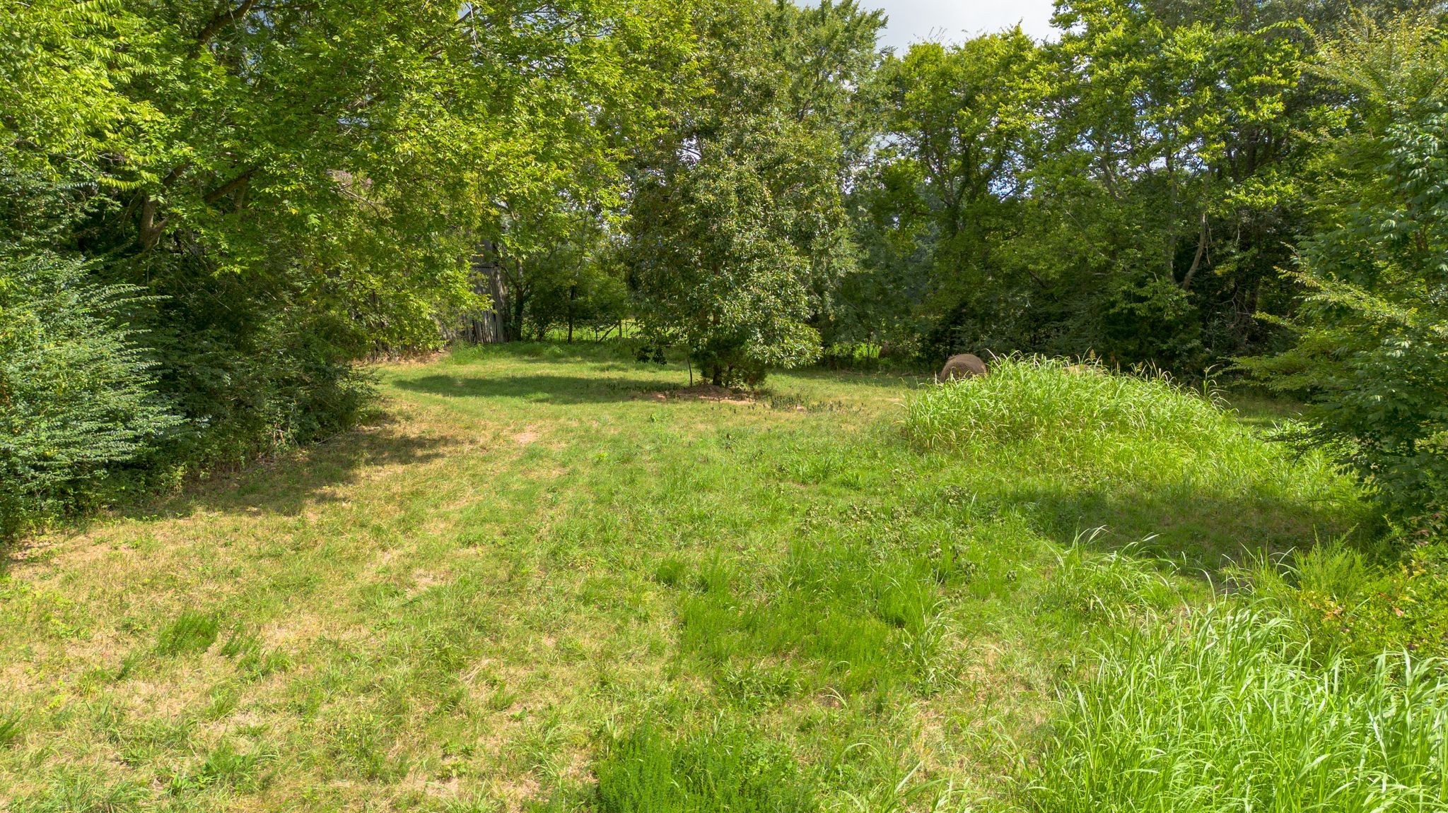 2882 Mobley Ridge Road Duck River, TN 38454 - Photo 48 of 70 a view of a yard with a tree