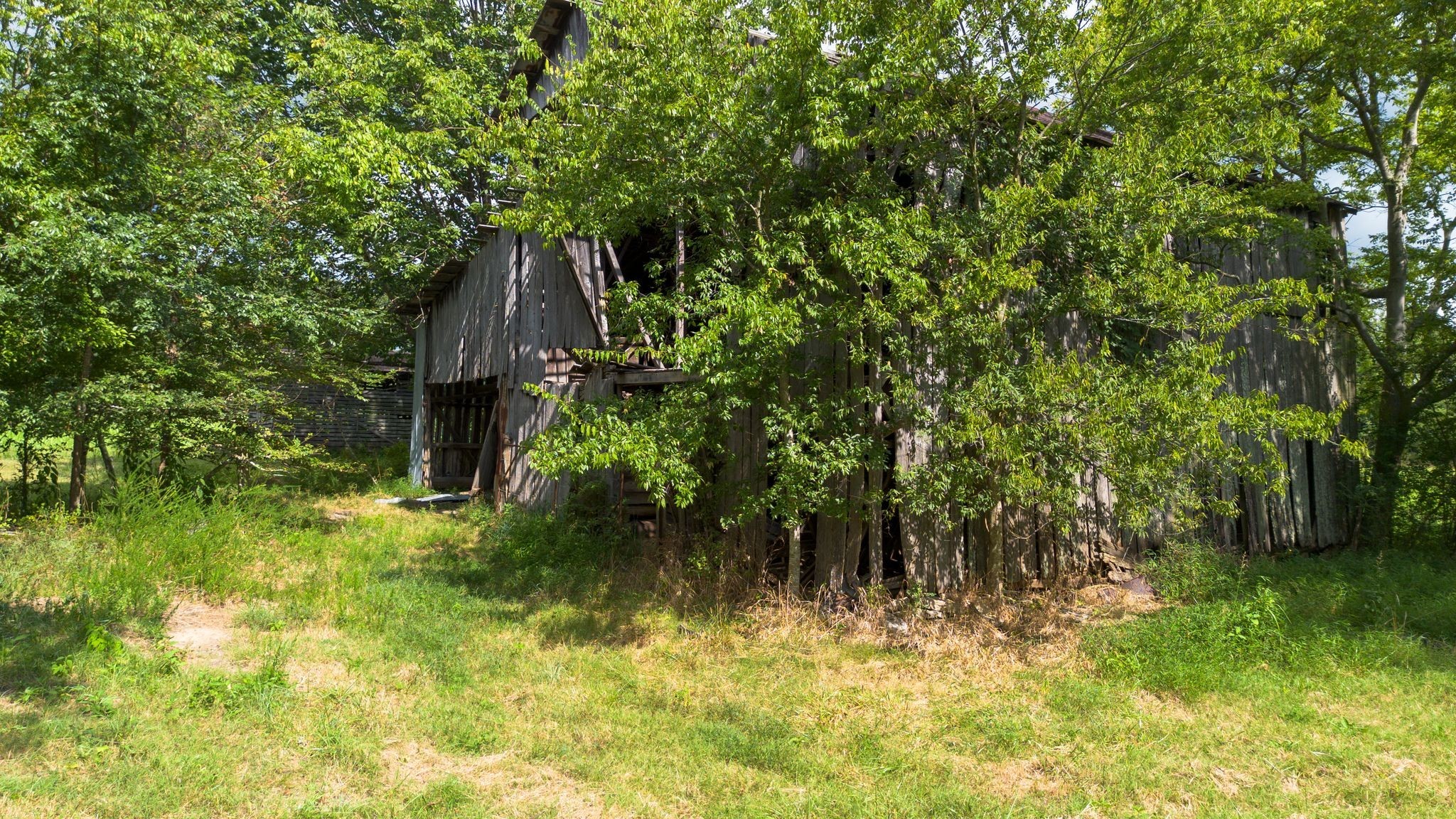 2882 Mobley Ridge Road Duck River, TN 38454 - Photo 50 of 70 a backyard of a house with lots of green space
