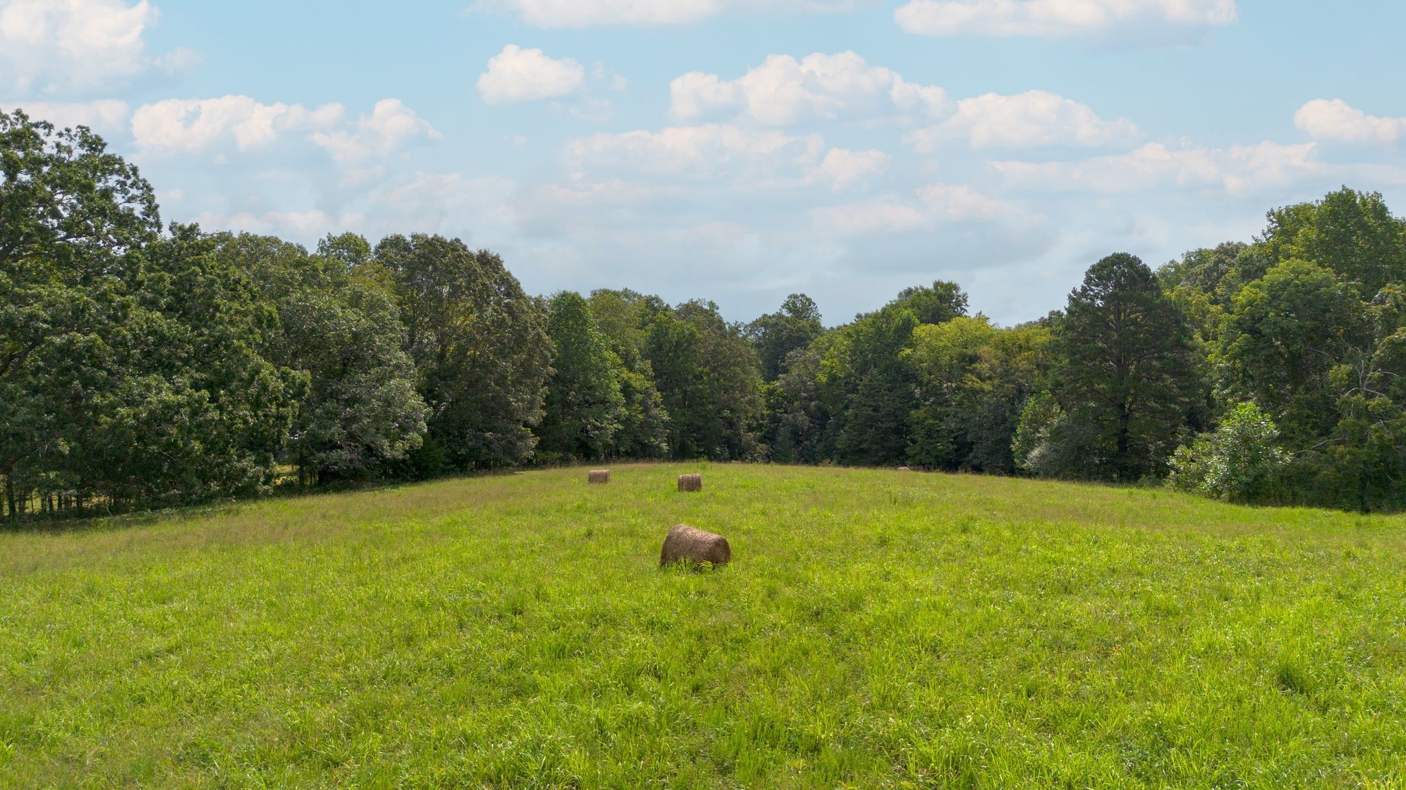 2882 Mobley Ridge Road Duck River, TN 38454 - Photo 54 of 70 a view of outdoor space and yard