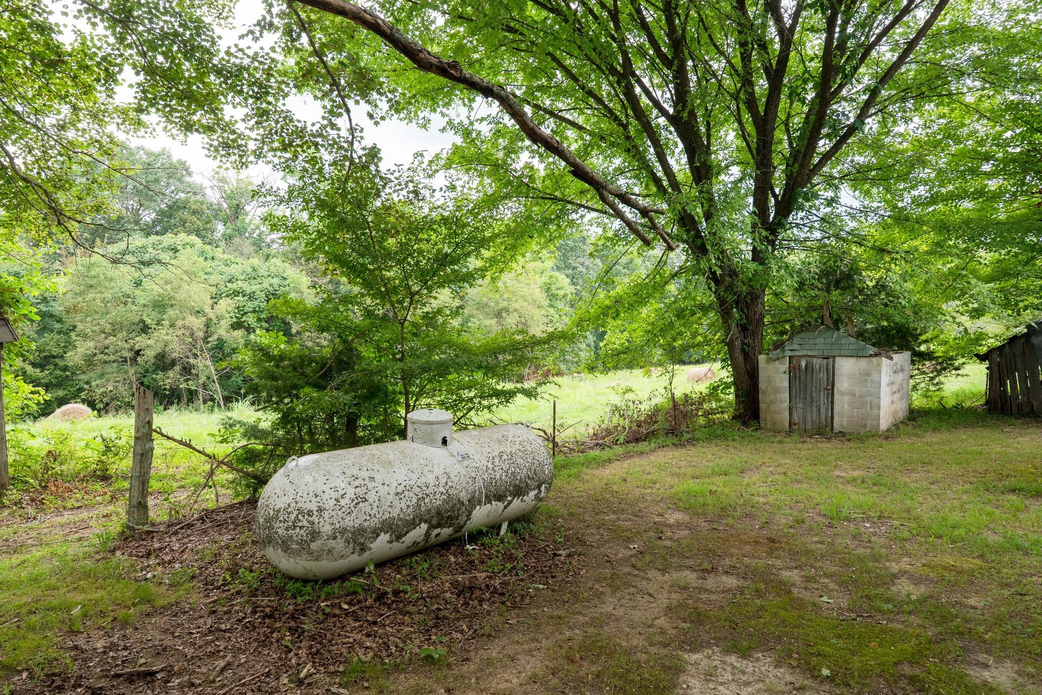 2882 Mobley Ridge Road Duck River, TN 38454 - Photo 7 of 70 a backyard of a house with table and chairs