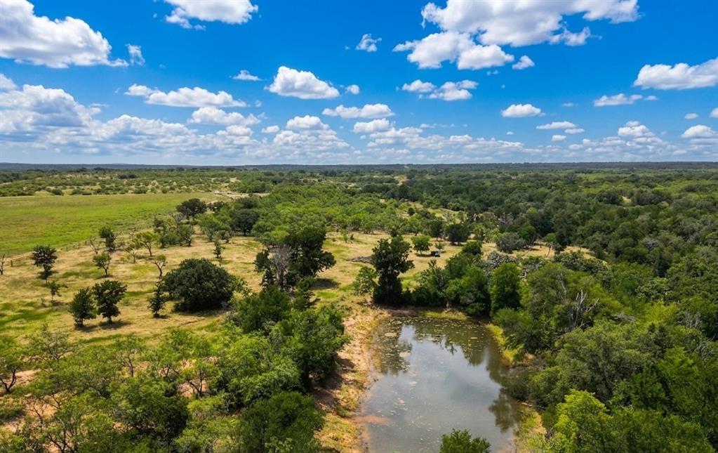 3976 Fm 1477 Comanche, TX 76442 - Photo 4 of 11 Expansive acreage featuring a natural pond, diverse tree coverage, open grassy areas, and distant tree lines under a bright sky
