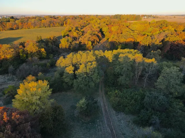 a backyard of a house with lots of green space