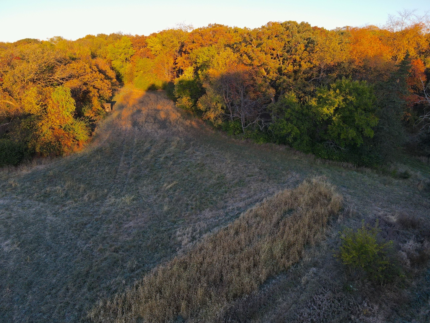 0 Mountain Lane Freeport, IL 61032 - Photo 15 of 78 a view of a yard with a oven