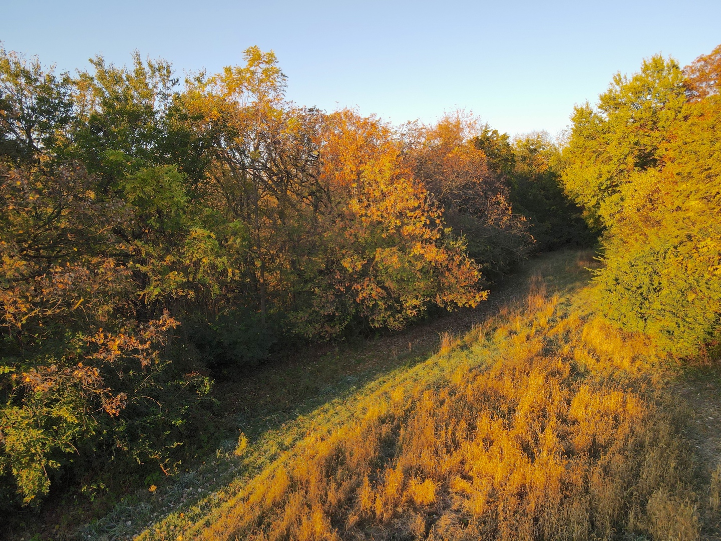 0 Mountain Lane Freeport, IL 61032 - Photo 17 of 78 a view of lake from yard