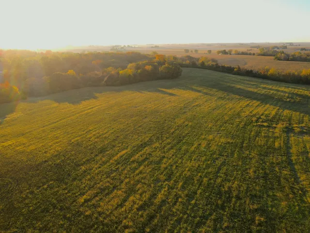 a view of yard with grass and a play ground