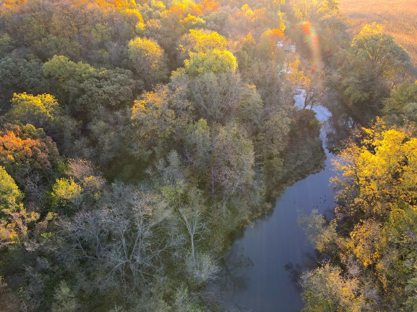 0 Mountain Lane Freeport, IL 61032 - Photo 29 of 78