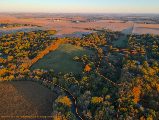 a big yard with lots of green space and deers