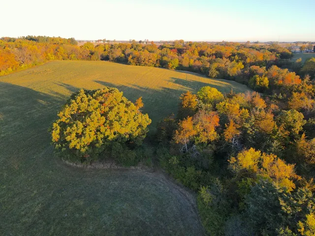 a view of backyard with outdoor and green space