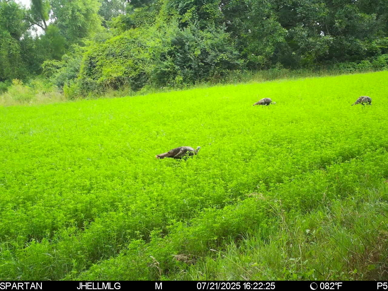 0 Mountain Lane Freeport, IL 61032 - Photo 35 of 78 a view of yard with grass and a play ground