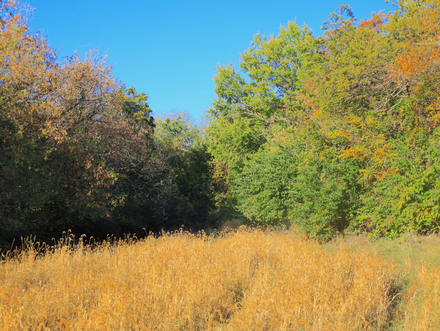 0 Mountain Lane Freeport, IL 61032 - Photo 36 of 86