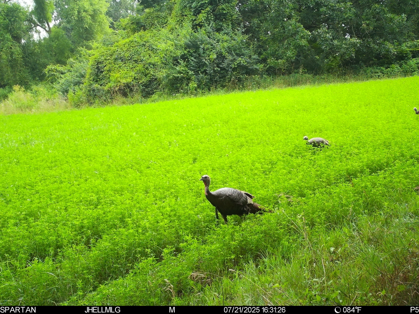 0 Mountain Lane Freeport, IL 61032 - Photo 37 of 78